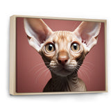 Peterbald Playfulness Cat Portrait - Cat Bedroom Wall Art