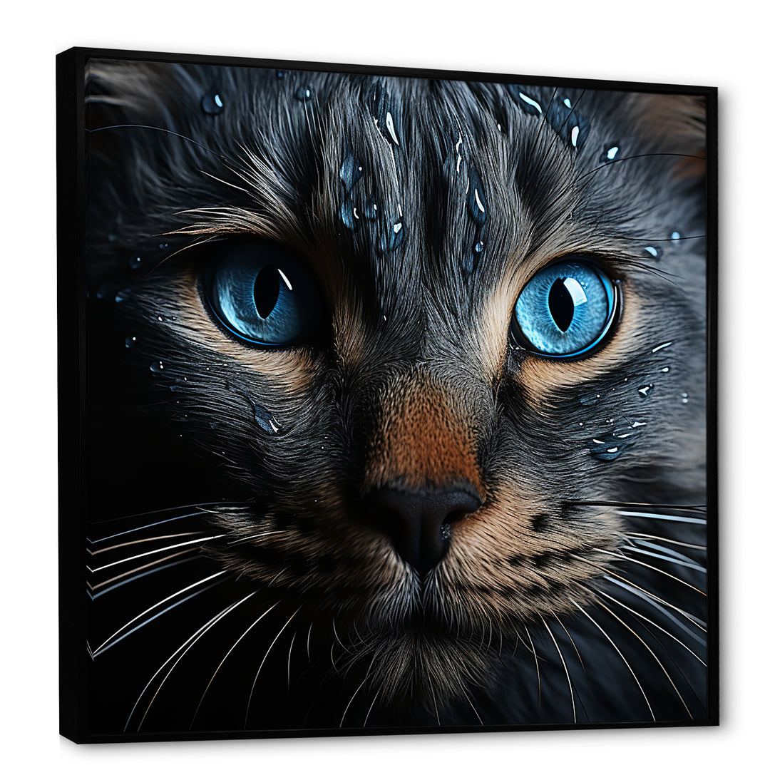 Cat Blue Eye Reflection - Blue Cat Wall Art
