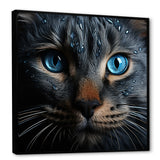 Cat Blue Eye Reflection - Blue Cat Wall Art