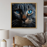 Cat Blue Eye Reflection - Blue Cat Wall Art