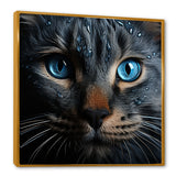 Cat Blue Eye Reflection - Blue Cat Wall Art