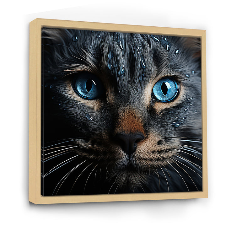 Cat Blue Eye Reflection - Blue Cat Wall Art