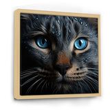Cat Blue Eye Reflection - Blue Cat Wall Art