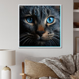 Cat Blue Eye Reflection - Blue Cat Wall Art