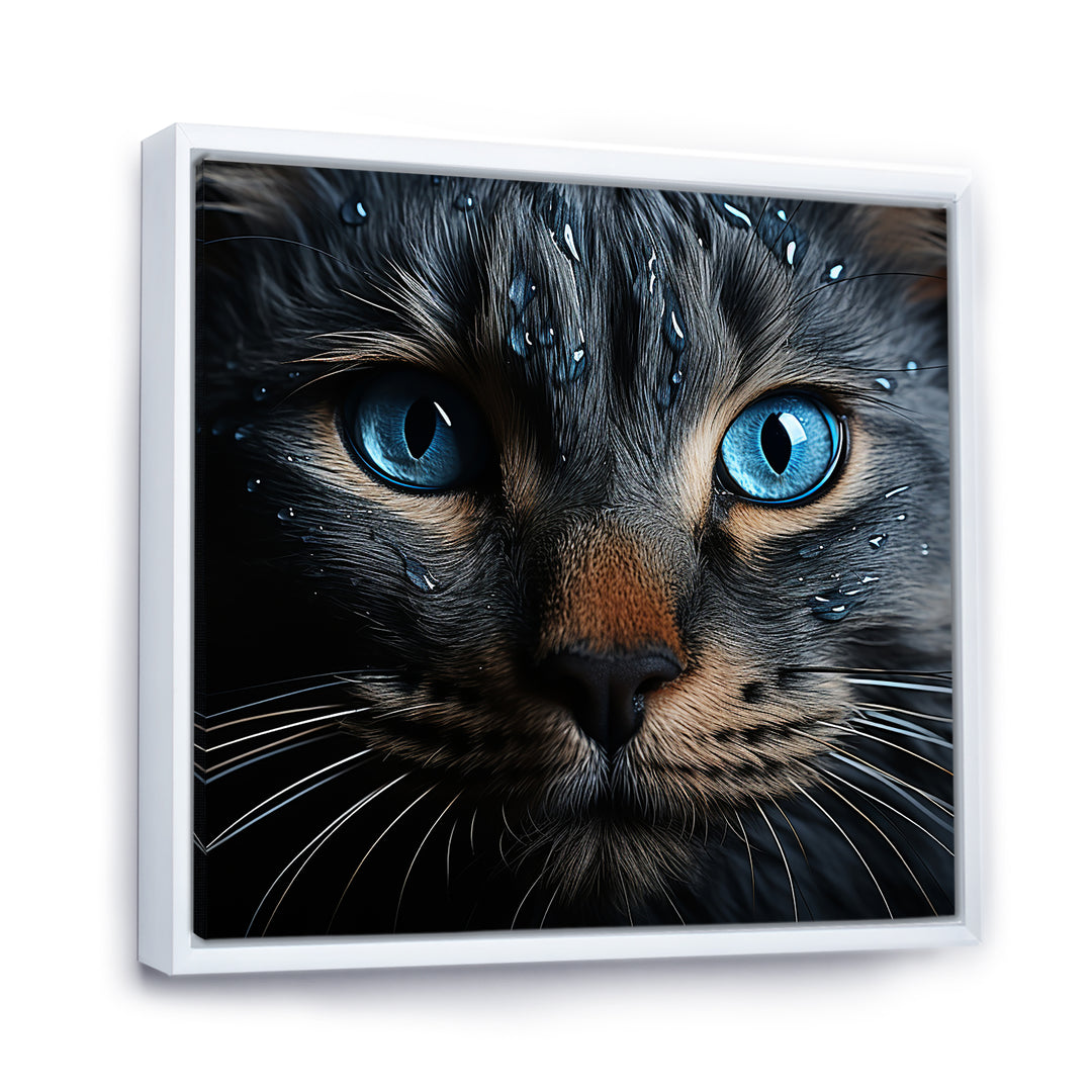 Cat Blue Eye Reflection - Blue Cat Wall Art