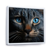 Cat Blue Eye Reflection - Blue Cat Wall Art