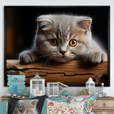 Cute Scottish Cat Fold Serenity - Cat Home Decor Art