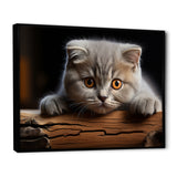 Cute Scottish Cat Fold Serenity - Cat Home Decor Art