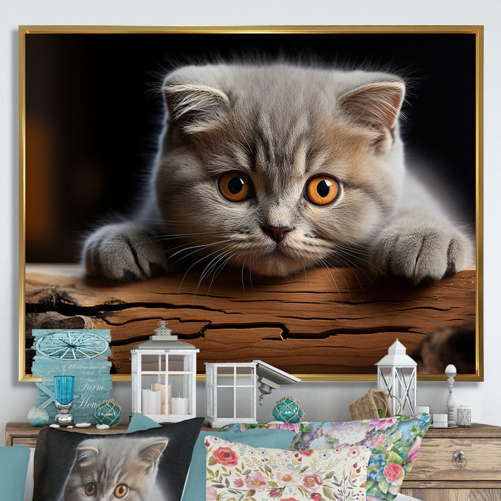 Cute Scottish Cat Fold Serenity - Cat Home Decor Art