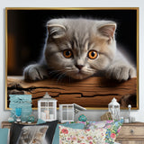 Cute Scottish Cat Fold Serenity - Cat Home Decor Art