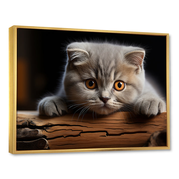 Cute Scottish Cat Fold Serenity - Cat Home Decor Art