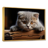 Cute Scottish Cat Fold Serenity - Cat Home Decor Art