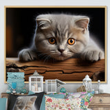 Cute Scottish Cat Fold Serenity - Cat Home Decor Art