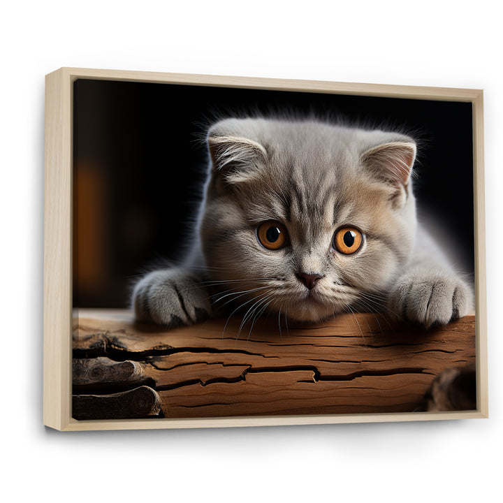 Cute Scottish Cat Fold Serenity - Cat Home Decor Art