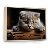 Cute Scottish Cat Fold Serenity - Cat Home Decor Art