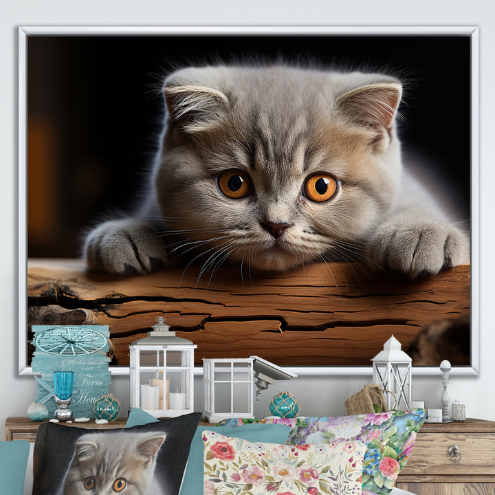 Cute Scottish Cat Fold Serenity - Cat Home Decor Art