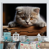Cute Scottish Cat Fold Serenity - Cat Home Decor Art