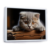 Cute Scottish Cat Fold Serenity - Cat Home Decor Art