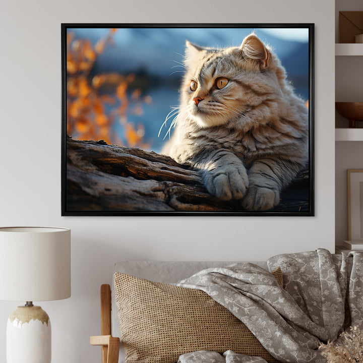 Cat Scottish Fold Serenity - Cat Living Room Wall Art