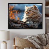 Cat Scottish Fold Serenity - Cat Living Room Wall Art