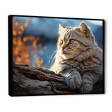 Cat Scottish Fold Serenity - Cat Living Room Wall Art