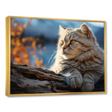 Cat Scottish Fold Serenity - Cat Living Room Wall Art