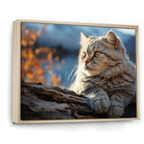 Cat Scottish Fold Serenity - Cat Living Room Wall Art