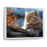 Cat Scottish Fold Serenity - Cat Living Room Wall Art