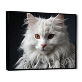Selkirk Rex Cat Sophistication - Cat Bedroom Wall Art