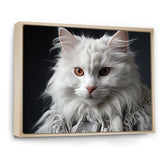 Selkirk Rex Cat Sophistication - Cat Bedroom Wall Art
