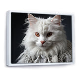 Selkirk Rex Cat Sophistication - Cat Bedroom Wall Art