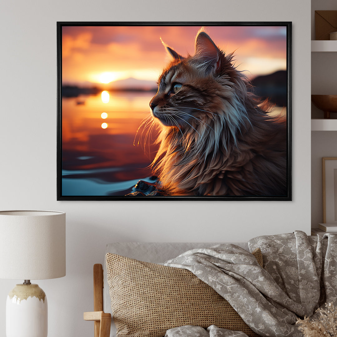 Solitude Cat In Sunset - Cat Wall Art Prints