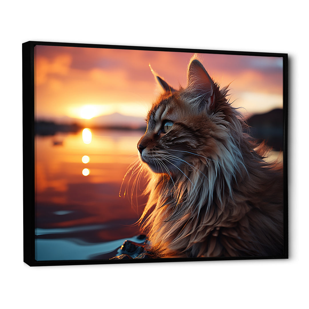 Solitude Cat In Sunset - Cat Wall Art Prints