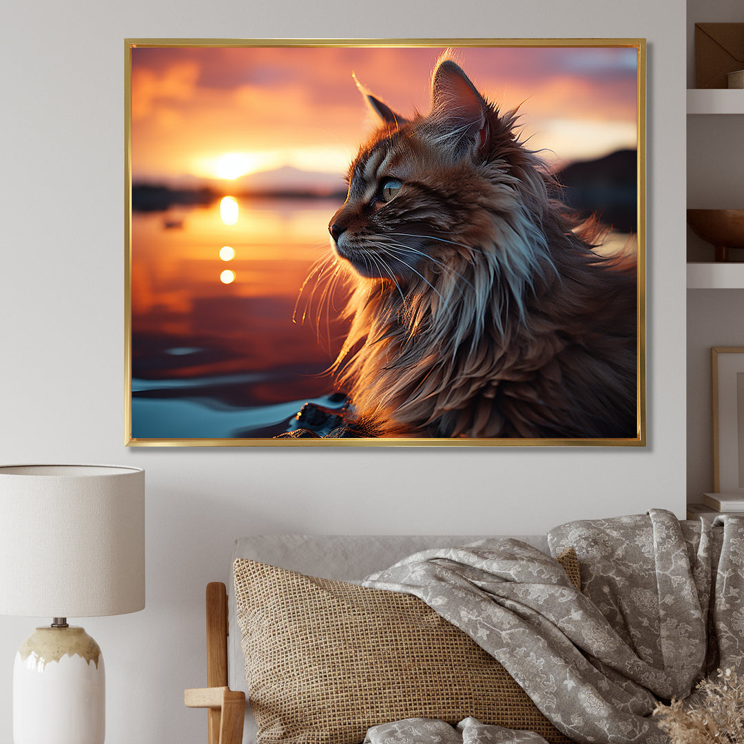 Solitude Cat In Sunset - Cat Wall Art Prints