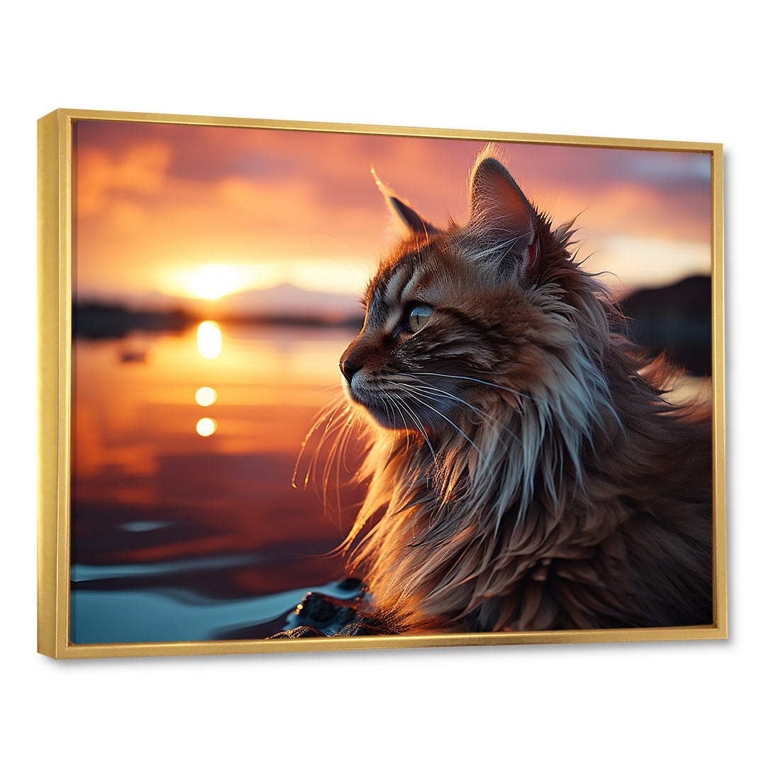 Solitude Cat In Sunset - Cat Wall Art Prints