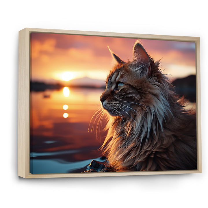 Solitude Cat In Sunset - Cat Wall Art Prints