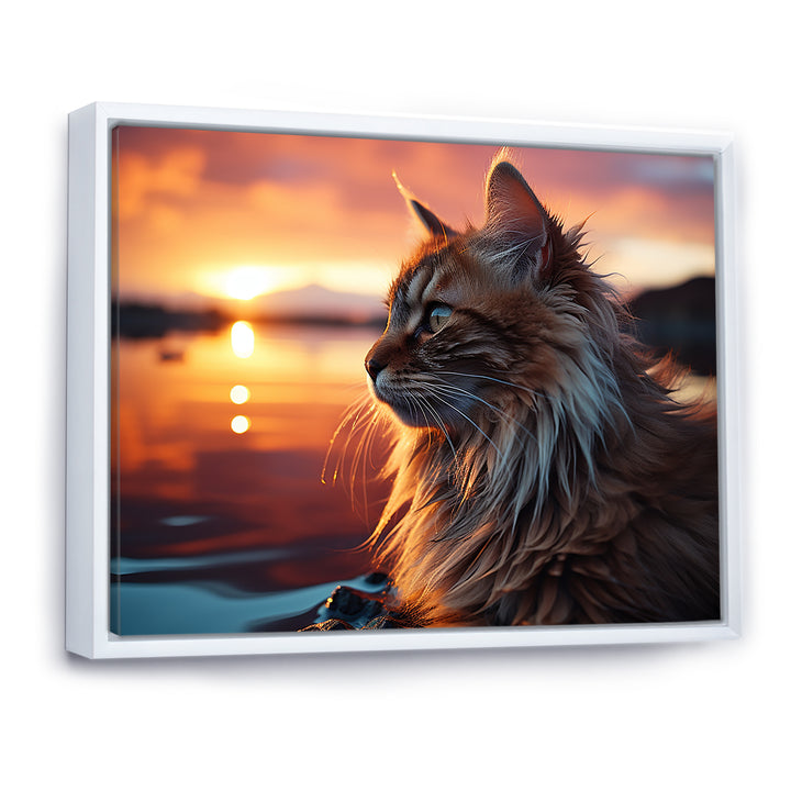 Solitude Cat In Sunset - Cat Wall Art Prints