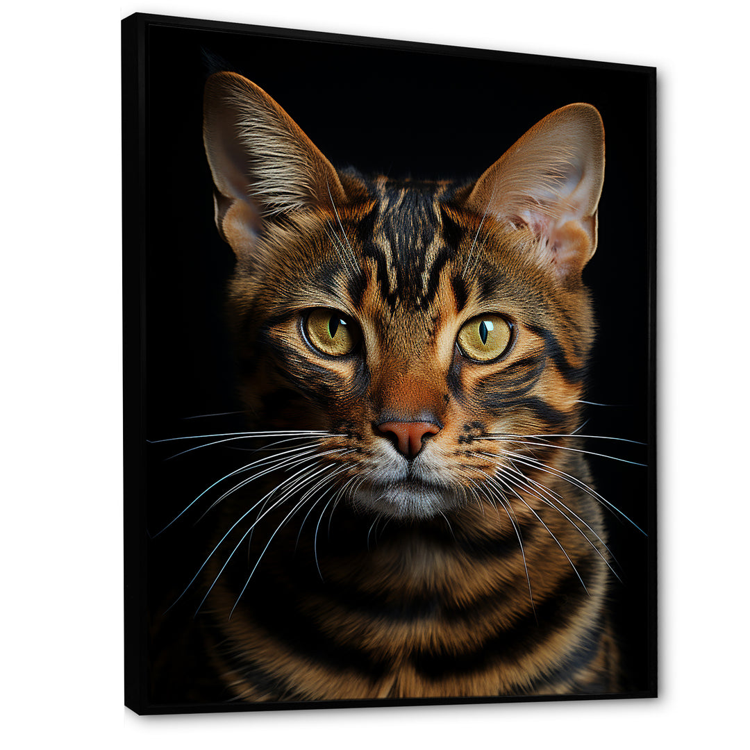 Cat Toyger Tigress Portrait - Brown Cat Wall Art