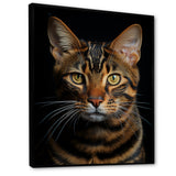 Cat Toyger Tigress Portrait - Brown Cat Wall Art