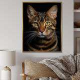 Cat Toyger Tigress Portrait - Brown Cat Wall Art