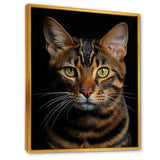Cat Toyger Tigress Portrait - Brown Cat Wall Art
