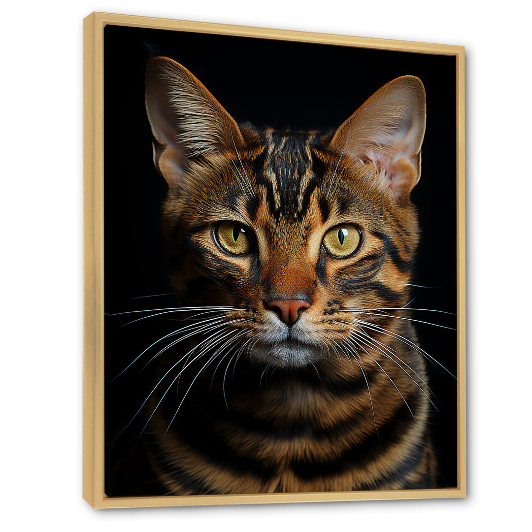Cat Toyger Tigress Portrait - Brown Cat Wall Art