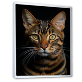 Cat Toyger Tigress Portrait - Brown Cat Wall Art