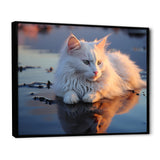 Cat Tranquility On Beach - Cat Framed Canvas Art