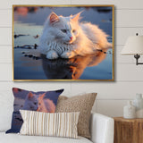 Cat Tranquility On Beach - Cat Framed Canvas Art