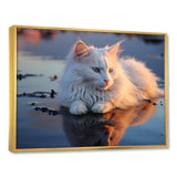 Cat Tranquility On Beach - Cat Framed Canvas Art