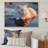 Cat Tranquility On Beach - Cat Framed Canvas Art