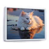 Cat Tranquility On Beach - Cat Framed Canvas Art