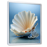 Monochromatic Misty Grey Clam - Gray Clam Wall Art