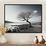 Beautiful Tree Black And White Lake Photography - Cottage Canvas Wall Art